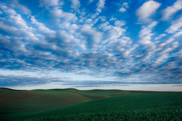 Clouds over Wheat Fields