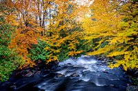 Rushing River and Full Fall Color