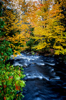 Tall Fall Color over River Rapids
